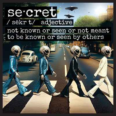 "Secret" - Parody T-Shirt