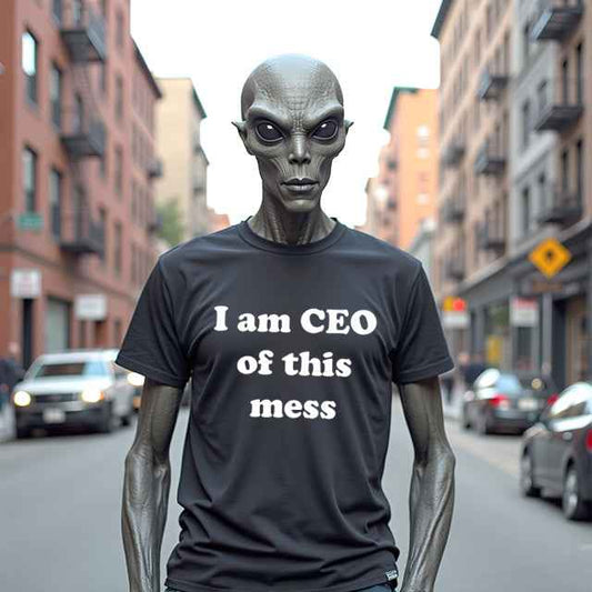 "I am CEO of this mess" - Humor For Office Staff Gifts